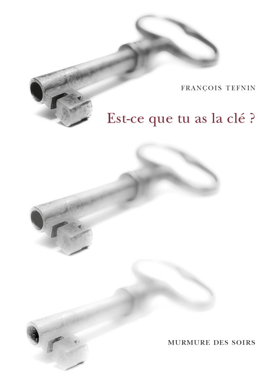 [OCC002541] Est-ce que tu as la clé ? - François Tefnin (Grand format) - Livre d'occasion